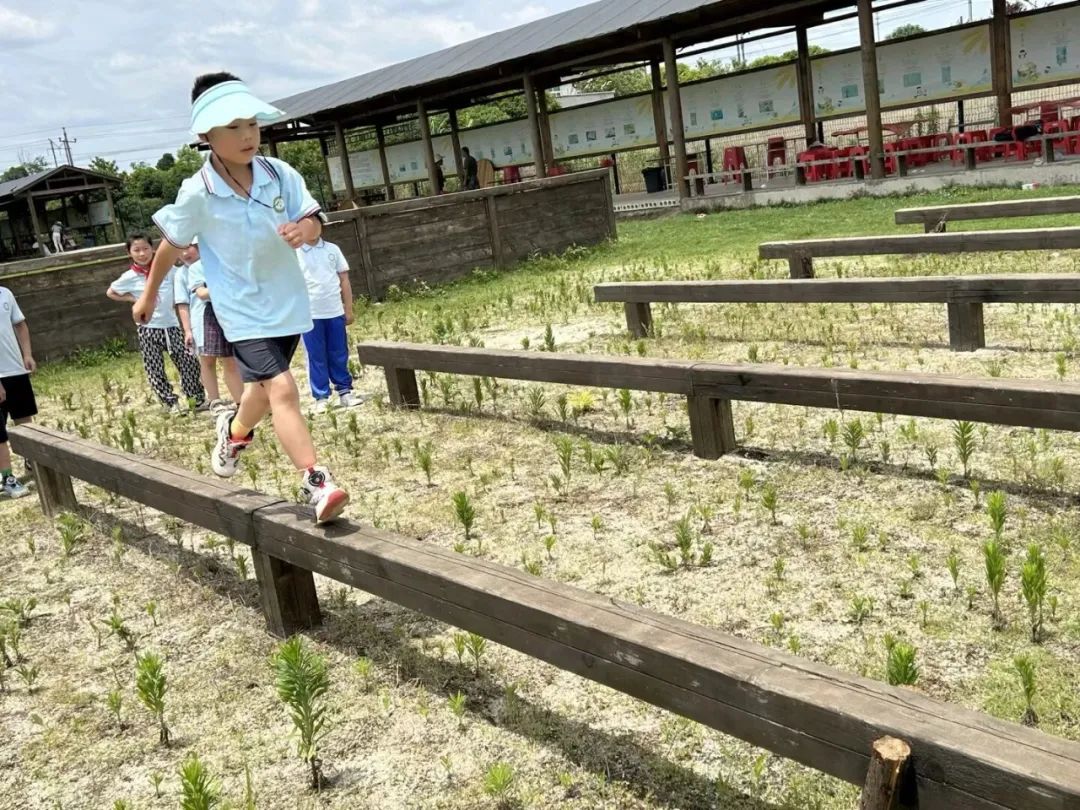 花园小学“国歌嘹亮 耕读童年”——庆六一•红领巾爱祖国研学实践活动 第92张 花园小学“国歌嘹亮 耕读童年”——庆六一•红领巾爱祖国研学实践活动 第92张