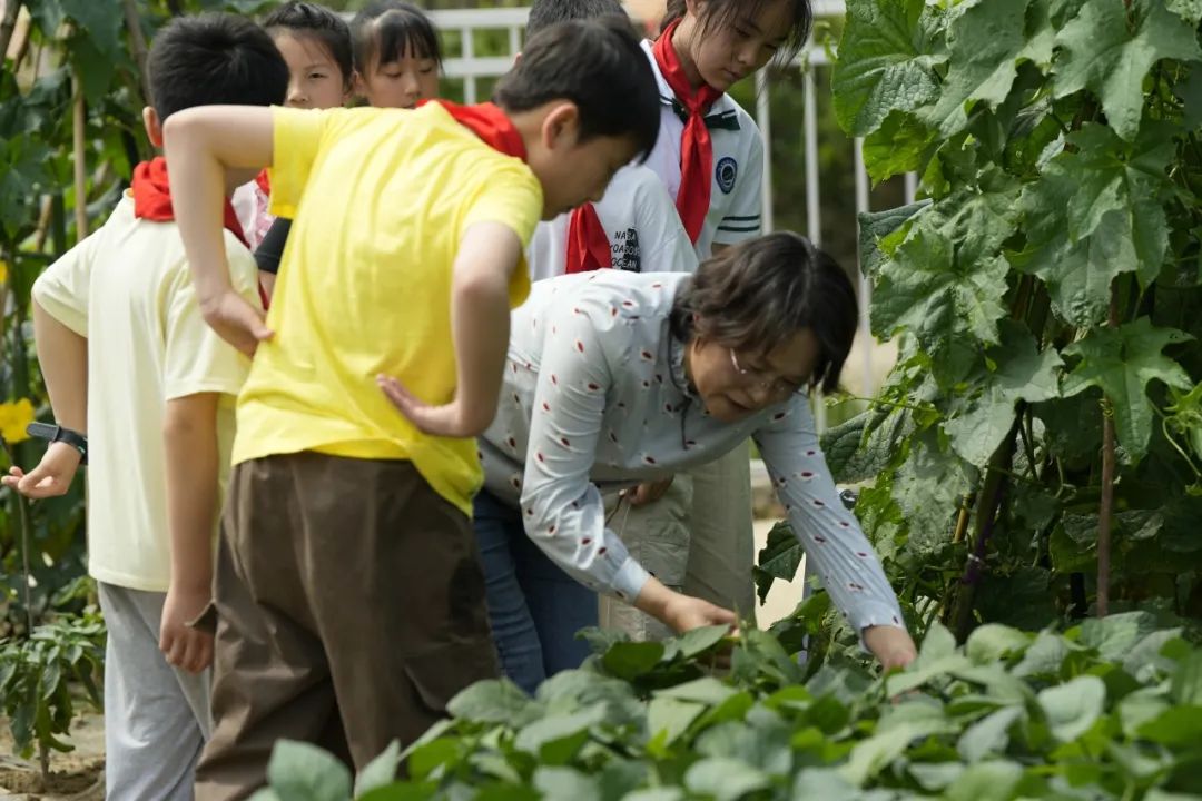 悦动田园 品味快乐——高安中心小学第二届校园美食节 第12张 悦动田园 品味快乐——高安中心小学第二届校园美食节 第12张