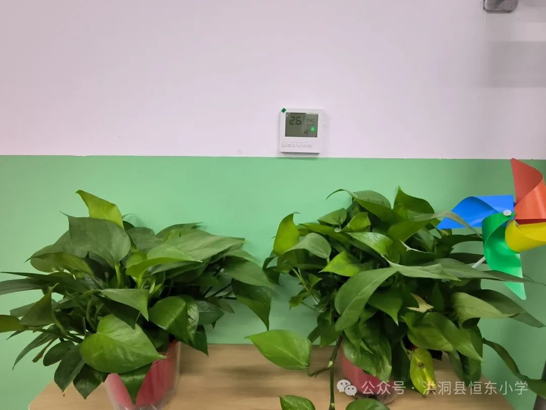 怦然“新”动|关于恒东小学,你想知道的都在这里! 第17张 怦然“新”动|关于恒东小学,你想知道的都在这里! 第17张