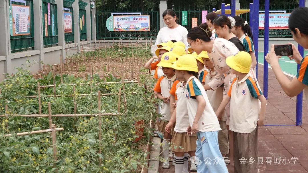【春晖小学】小学零距离 成长初体验——小幼衔接参观体验活动 第7张 【春晖小学】小学零距离 成长初体验——小幼衔接参观体验活动 第7张