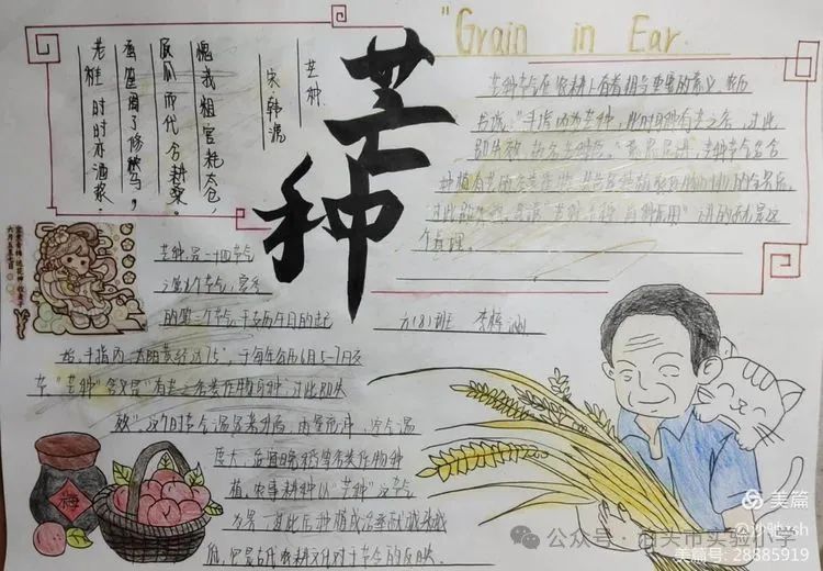 二十四节气之芒种——实验小学综合实践活动 第1张
