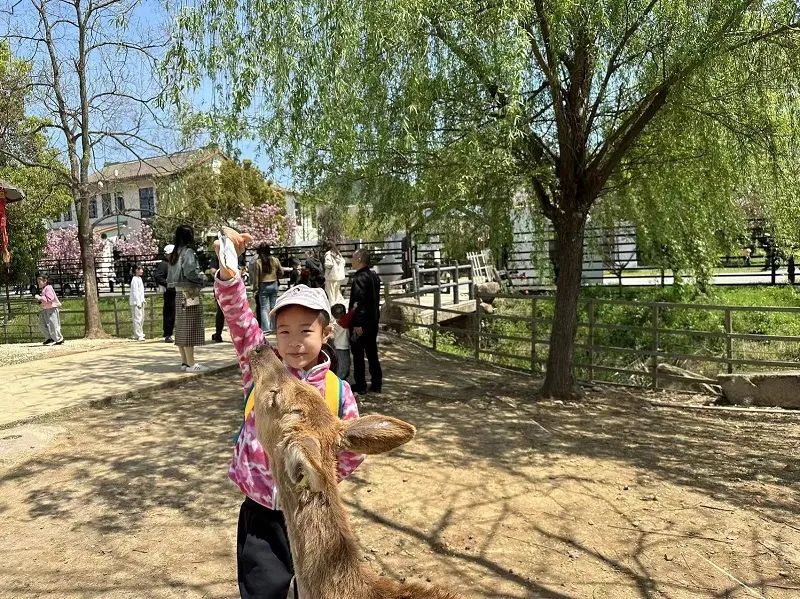 【我是光荣升旗手】联建小学2023学年第二学期第16周升旗手简介 第6张