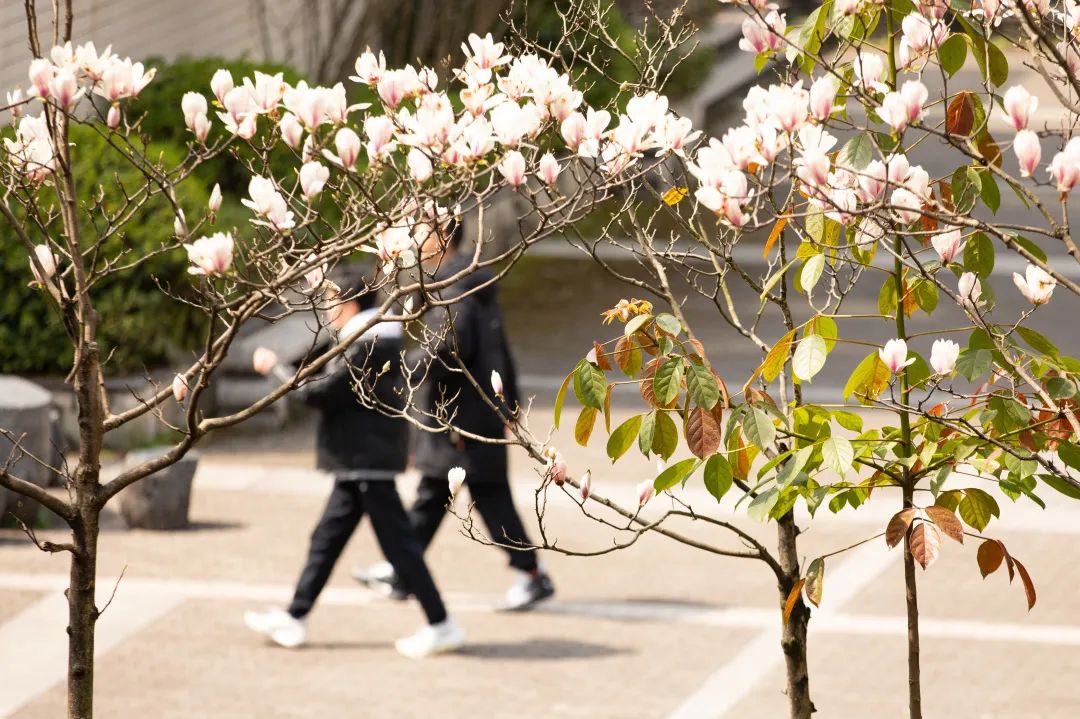 万州三中2024年高考、中考及端午节相关事宜告家长书 第7张