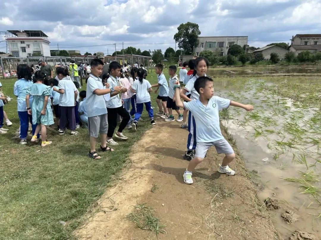 花园小学“国歌嘹亮 耕读童年”——庆六一•红领巾爱祖国研学实践活动 第52张 花园小学“国歌嘹亮 耕读童年”——庆六一•红领巾爱祖国研学实践活动 第52张