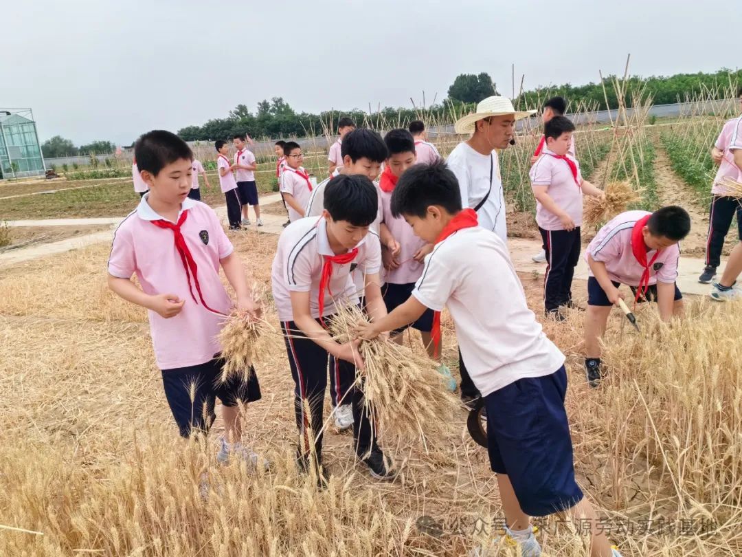 “芒”有所获,“种”有所得——科奥小学五年级劳动实践活动 第15张
