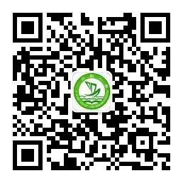 一只船小学在甘肃省青少年科技体育航空航天模型无人机教育竞赛中喜获佳绩 第15张