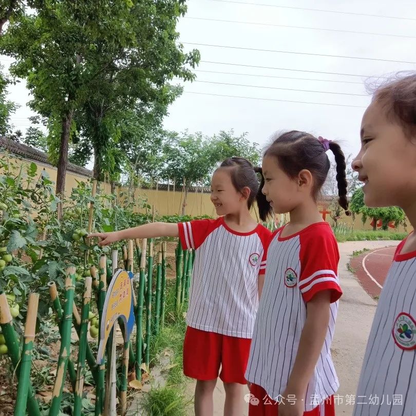 亲爱的小学,我来啦!——孟州市第二幼儿园参观小学活动 第69张