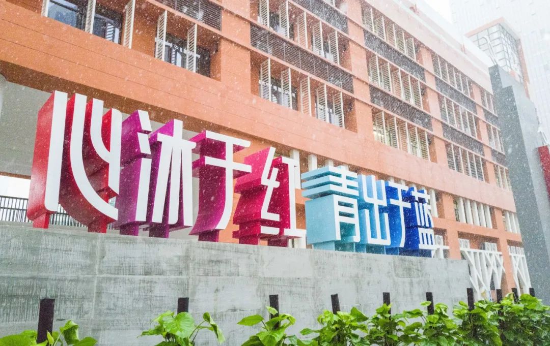 【优质均衡·招生季】 | 宝安小学(集团)红树林外国语小学2024年秋季义务教育招生指引 第2张 【优质均衡·招生季】 | 宝安小学(集团)红树林外国语小学2024年秋季义务教育招生指引 第2张