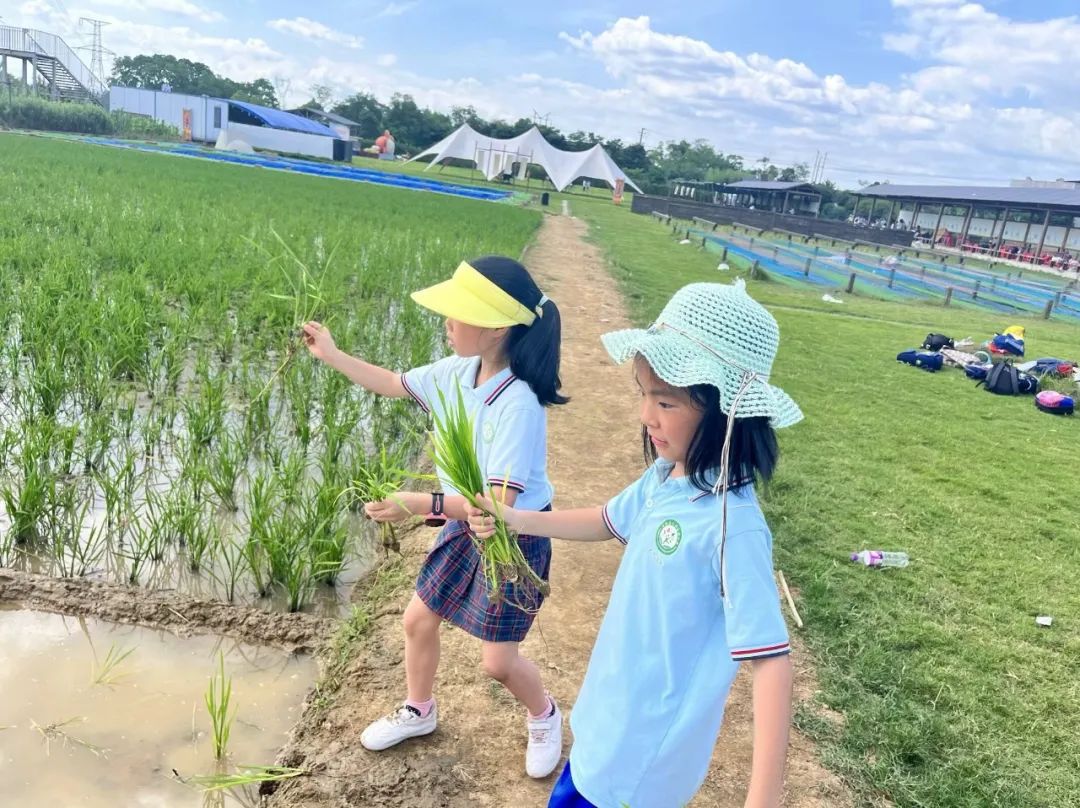 花园小学“国歌嘹亮 耕读童年”——庆六一•红领巾爱祖国研学实践活动 第50张 花园小学“国歌嘹亮 耕读童年”——庆六一•红领巾爱祖国研学实践活动 第50张
