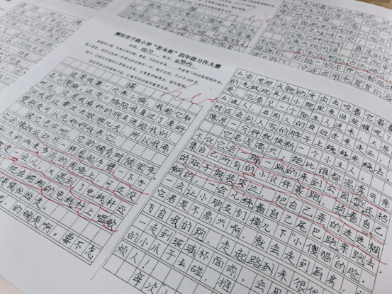 书香拼墨痕  妙笔赢华章——濮阳市子路小学四年级举行“若木杯”习作大赛 第13张