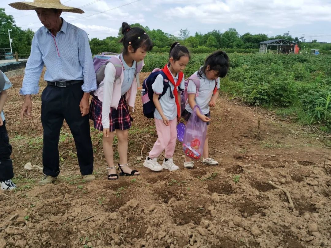 花园小学“国歌嘹亮 耕读童年”——庆六一•红领巾爱祖国研学实践活动 第74张 花园小学“国歌嘹亮 耕读童年”——庆六一•红领巾爱祖国研学实践活动 第74张