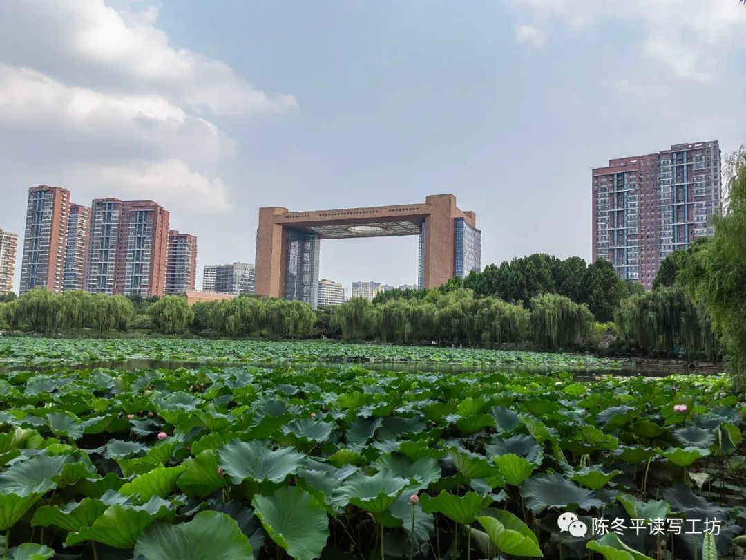 中考•作文︱2024年深圳市中考作文备考资料 第1张