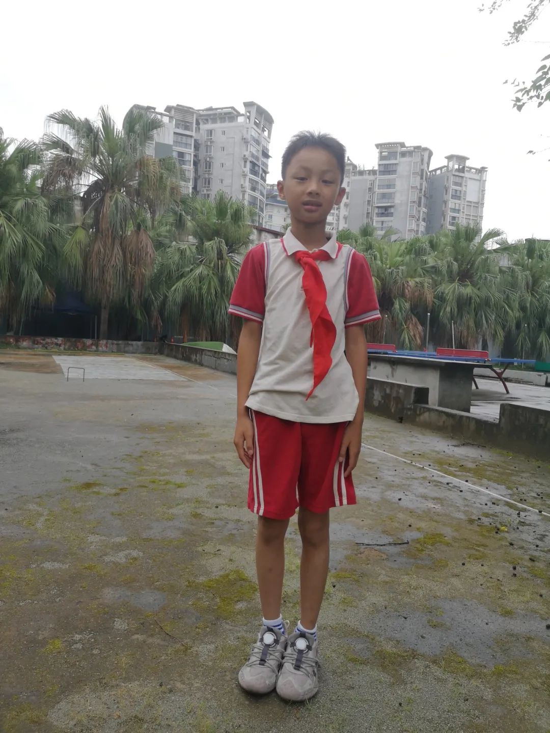 【中隐小学·德育活动】桂林市中隐小学中隐好少年表彰之“中隐小健将” 第14张 【中隐小学·德育活动】桂林市中隐小学中隐好少年表彰之“中隐小健将” 第14张