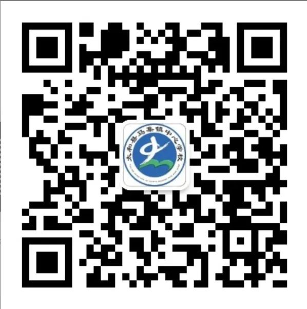 马集镇中心小学开展向航天员学习的系列活动 第7张 马集镇中心小学开展向航天员学习的系列活动 第7张