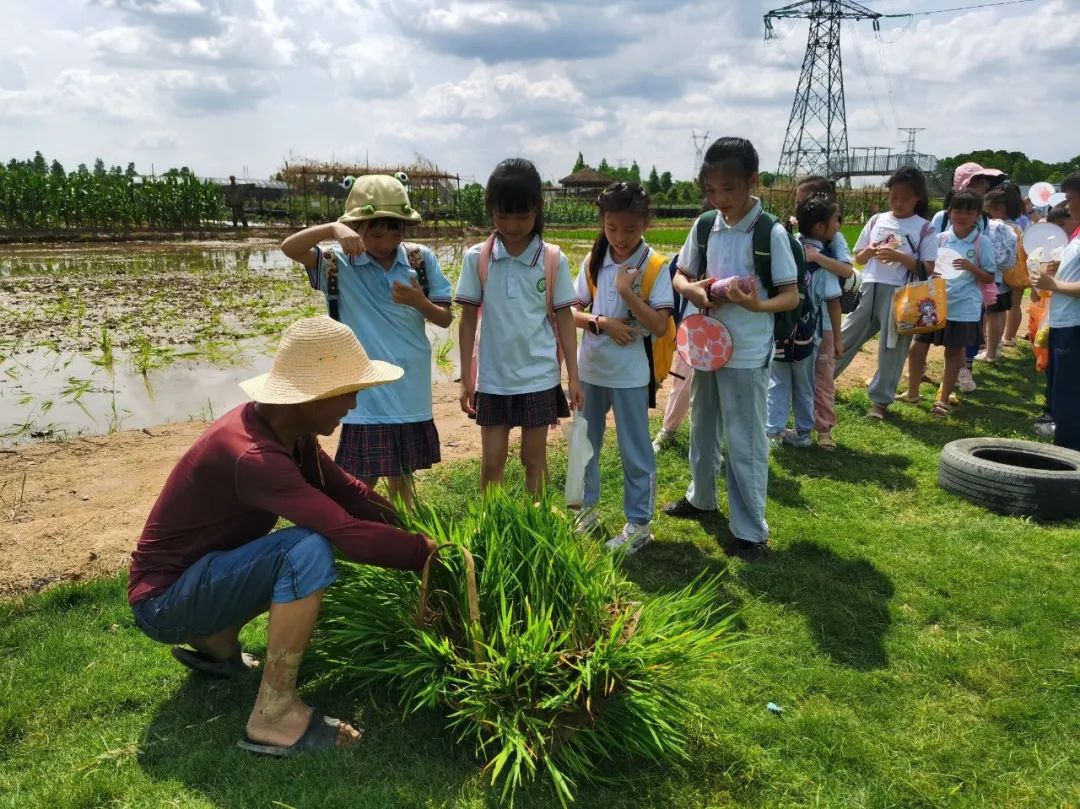 花园小学“国歌嘹亮 耕读童年”——庆六一•红领巾爱祖国研学实践活动 第47张 花园小学“国歌嘹亮 耕读童年”——庆六一•红领巾爱祖国研学实践活动 第47张