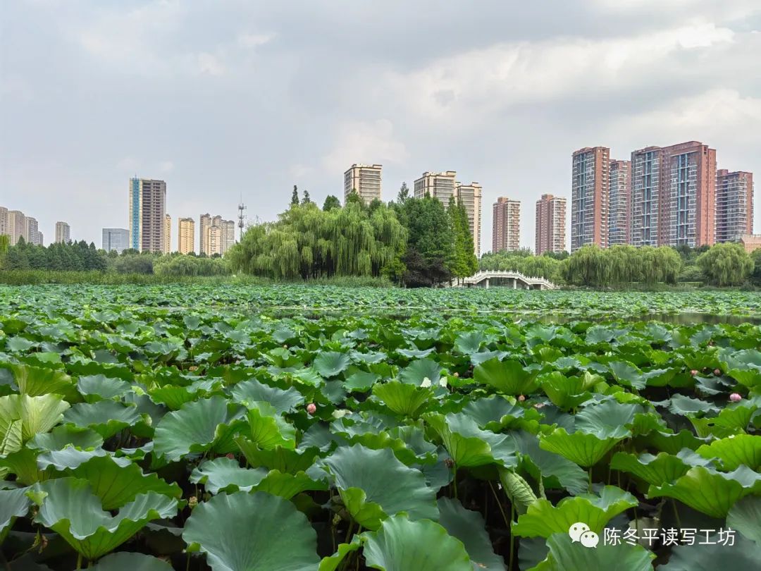 中考•作文︱2024年深圳市中考作文备考资料 第2张
