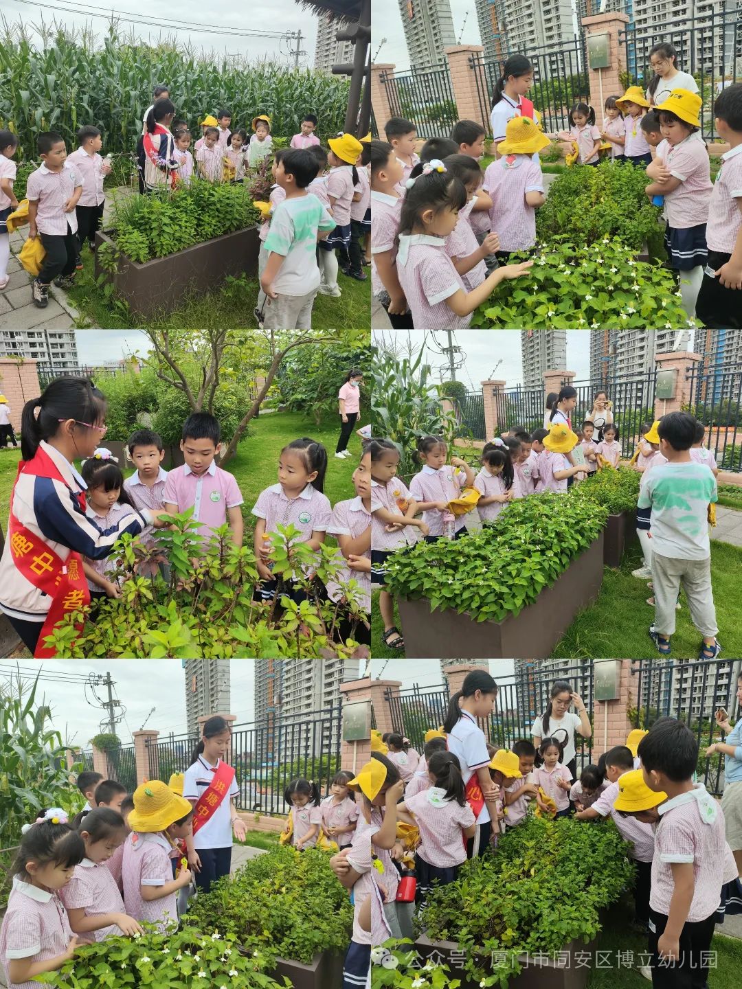 【幼小衔接】初夏遇见,你好小学——幼小衔接系列活动 第29张