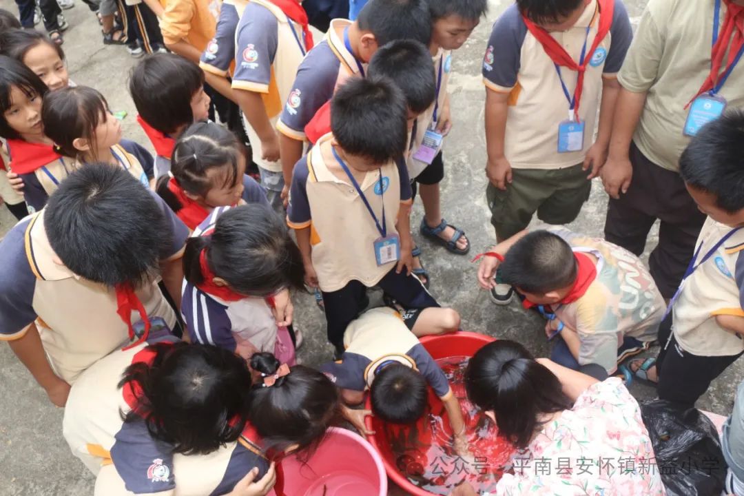 “童心向党 至美少年”——新益小学开展2024年“六一”国际儿童节系列庆祝活动 第24张 “童心向党 至美少年”——新益小学开展2024年“六一”国际儿童节系列庆祝活动 第24张
