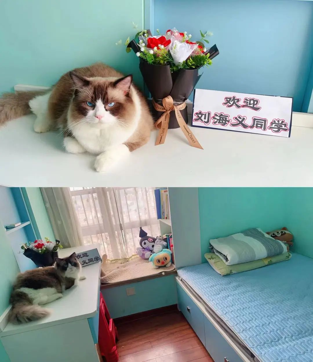 湖南省凤凰县阿拉石化小学“优才生”赴荔园小学跟班研学 第15张 湖南省凤凰县阿拉石化小学“优才生”赴荔园小学跟班研学 第15张