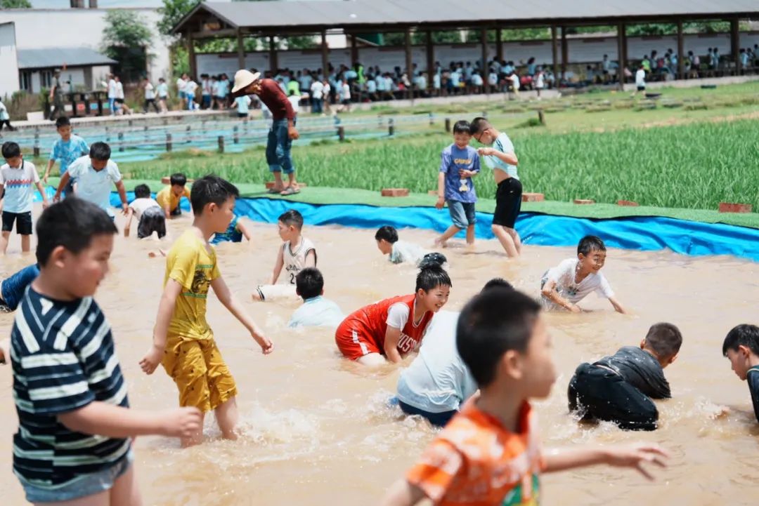 花园小学“国歌嘹亮 耕读童年”——庆六一•红领巾爱祖国研学实践活动 第41张 花园小学“国歌嘹亮 耕读童年”——庆六一•红领巾爱祖国研学实践活动 第41张