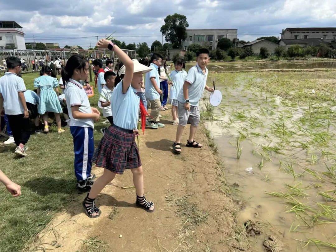 花园小学“国歌嘹亮 耕读童年”——庆六一•红领巾爱祖国研学实践活动 第53张 花园小学“国歌嘹亮 耕读童年”——庆六一•红领巾爱祖国研学实践活动 第53张