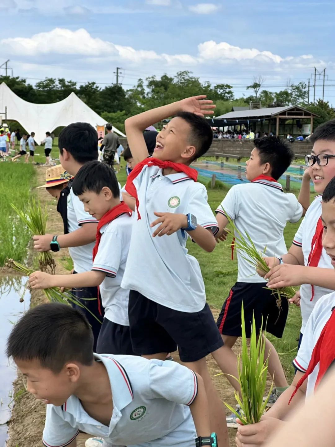 花园小学“国歌嘹亮 耕读童年”——庆六一•红领巾爱祖国研学实践活动 第55张 花园小学“国歌嘹亮 耕读童年”——庆六一•红领巾爱祖国研学实践活动 第55张