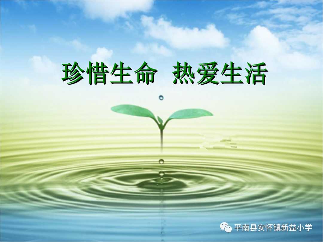 “童心向党 至美少年”——新益小学开展2024年“六一”国际儿童节系列庆祝活动 第48张 “童心向党 至美少年”——新益小学开展2024年“六一”国际儿童节系列庆祝活动 第48张