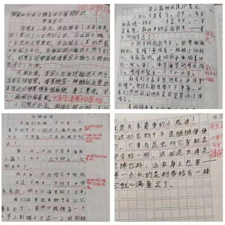 狄公小学班班共读系列之书香满园“阅”读“悦”美 ——狄公小学四年级班班共读 第28张 狄公小学班班共读系列之书香满园“阅”读“悦”美 ——狄公小学四年级班班共读 第28张