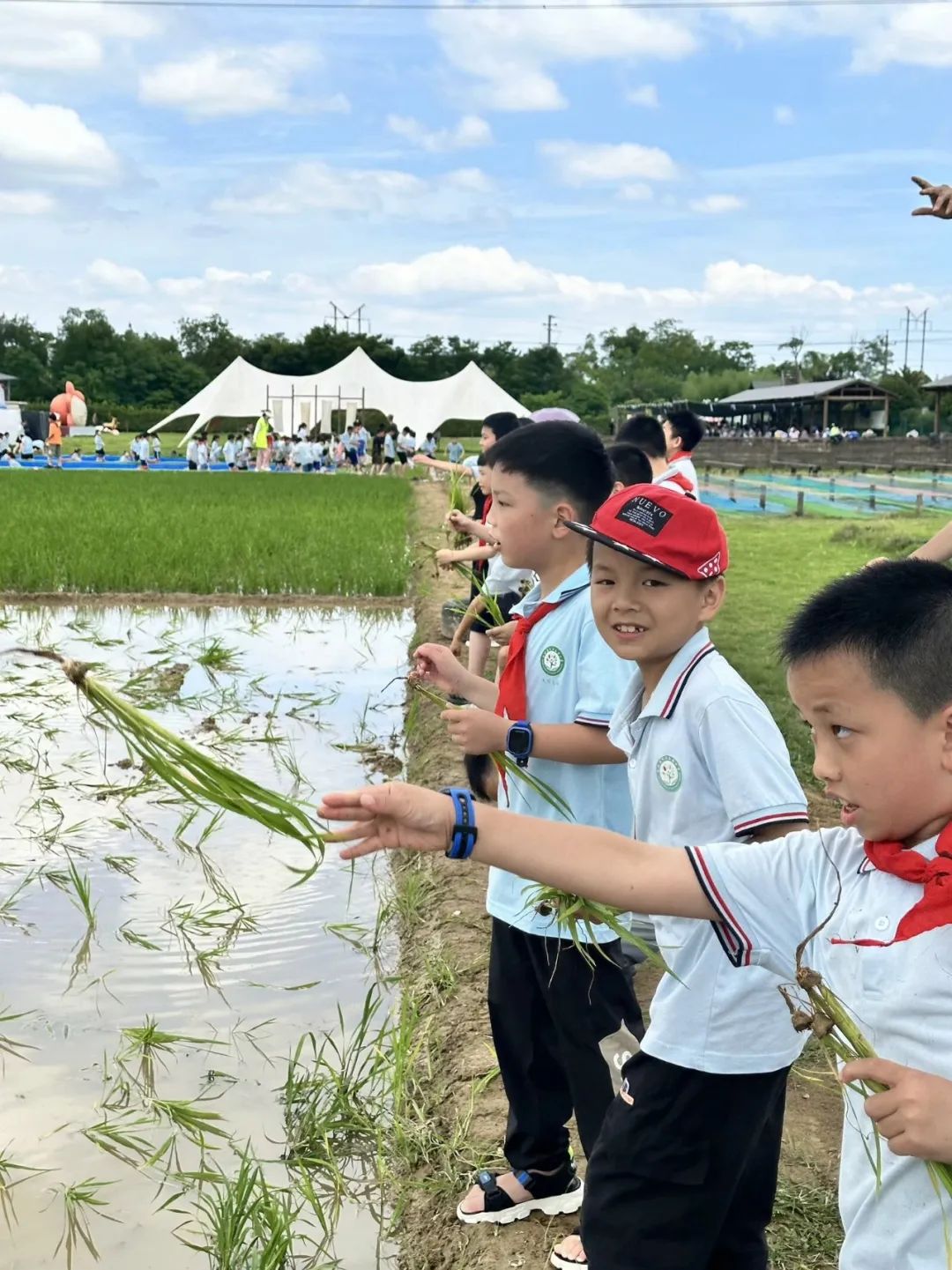 花园小学“国歌嘹亮 耕读童年”——庆六一•红领巾爱祖国研学实践活动 第54张 花园小学“国歌嘹亮 耕读童年”——庆六一•红领巾爱祖国研学实践活动 第54张