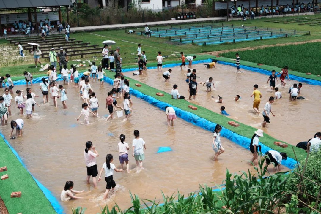花园小学“国歌嘹亮 耕读童年”——庆六一•红领巾爱祖国研学实践活动 第38张 花园小学“国歌嘹亮 耕读童年”——庆六一•红领巾爱祖国研学实践活动 第38张