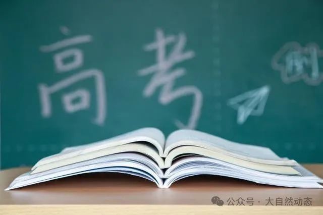 高考冲刺加油站:激发斗志的励志短语集 第1张