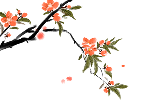 【金安小学】芒种——愿你“芒”有所获, “种”有所得 第1张 【金安小学】芒种——愿你“芒”有所获, “种”有所得 第1张