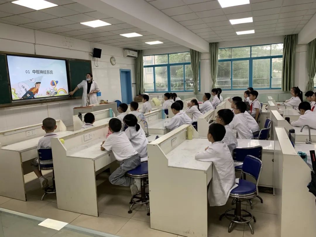 湖南省凤凰县阿拉石化小学“优才生”赴荔园小学跟班研学 第48张 湖南省凤凰县阿拉石化小学“优才生”赴荔园小学跟班研学 第48张