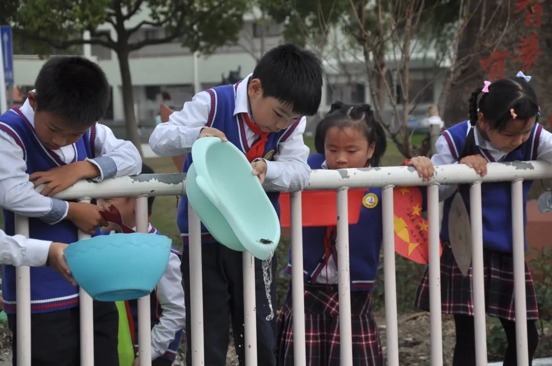 城东小学2024年秋一年级新生报名入学通告 第17张 城东小学2024年秋一年级新生报名入学通告 第17张