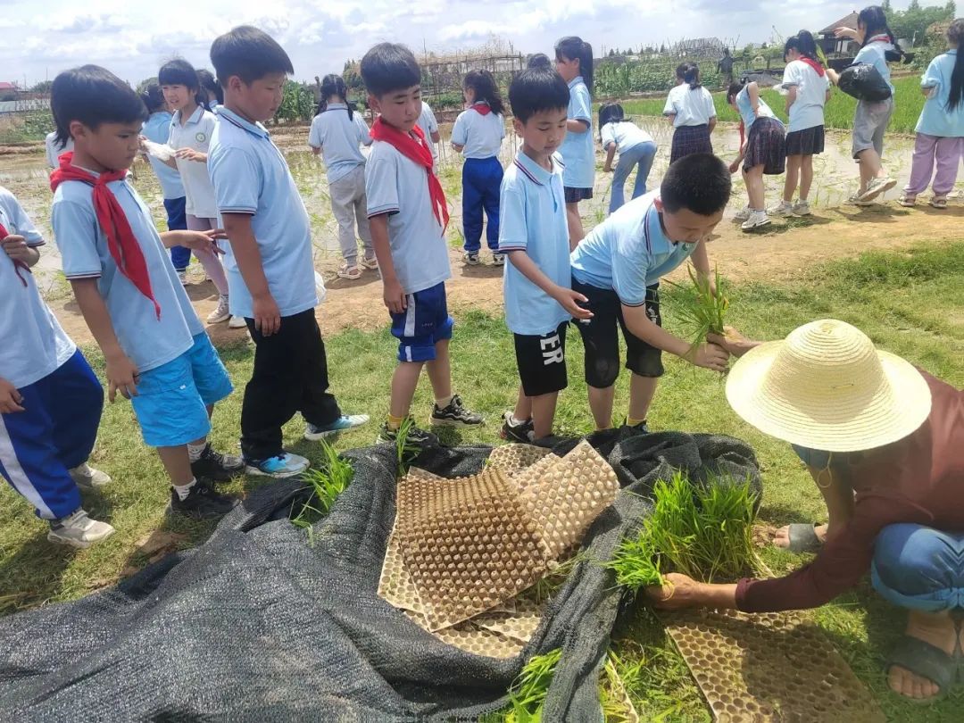 花园小学“国歌嘹亮 耕读童年”——庆六一•红领巾爱祖国研学实践活动 第46张 花园小学“国歌嘹亮 耕读童年”——庆六一•红领巾爱祖国研学实践活动 第46张