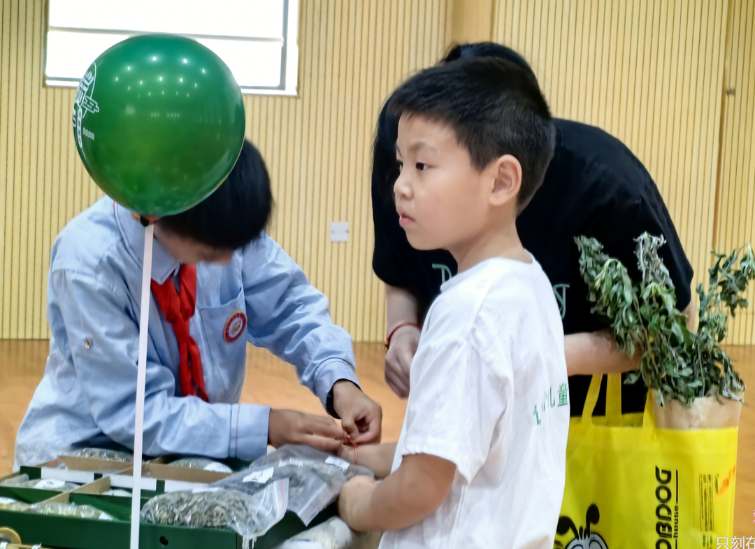 【幼小衔接】你好,小学 | 一起走进小学,共赴一场成长之约 第16张 【幼小衔接】你好,小学 | 一起走进小学,共赴一场成长之约 第16张