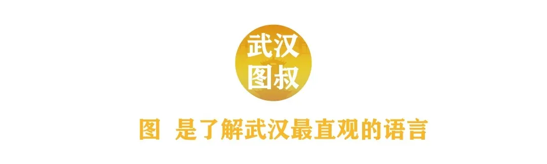武昌区小学服务范围划分图示(4/4 武昌古城,白沙洲) 第1张