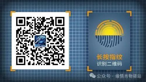 ＂部编版小学语文期末试卷曝光,挑战你的知识极限!＂ 第3张