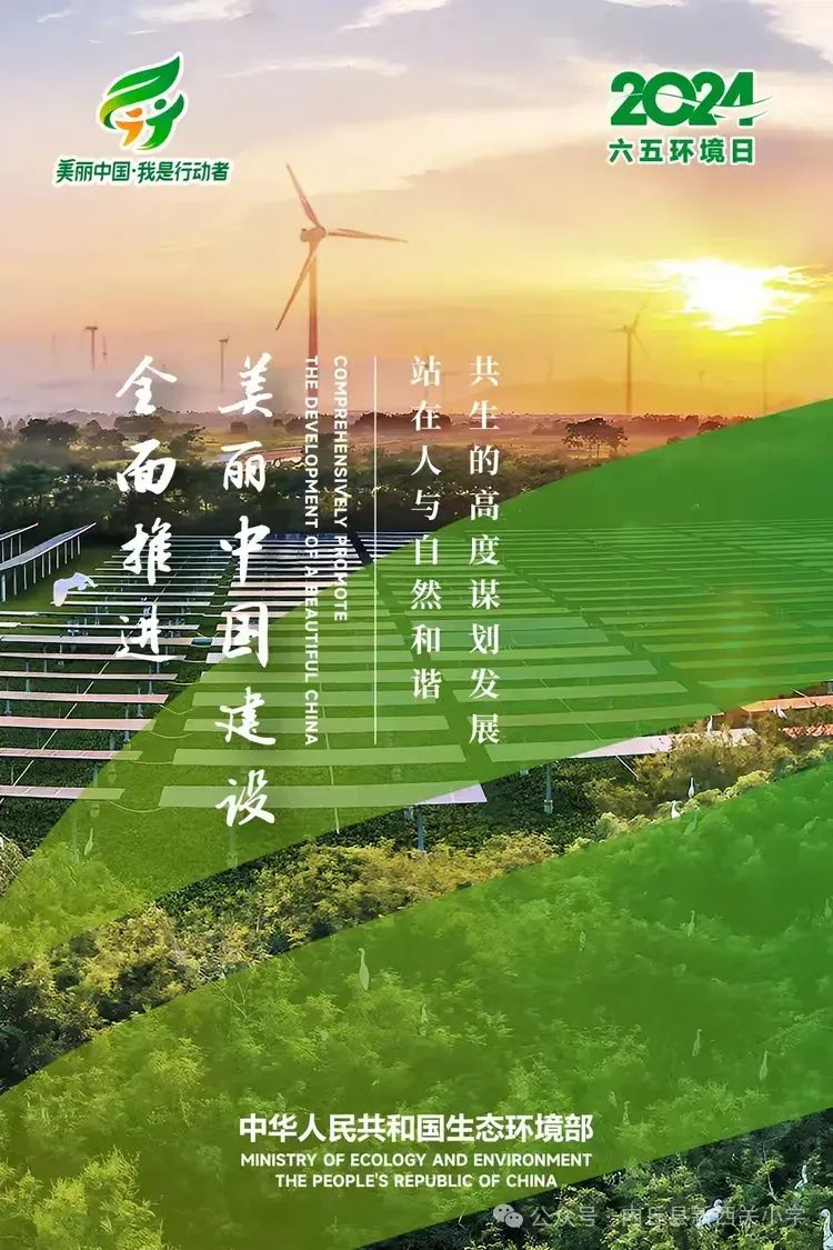 世界环境日  我们共行动——新西关小学2022级2班开展“世界环境日 ”活动 第1张