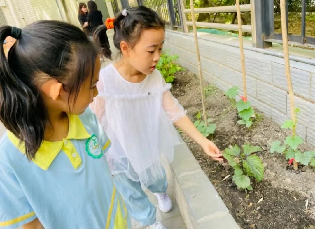 大班组参观小学活动 第29张