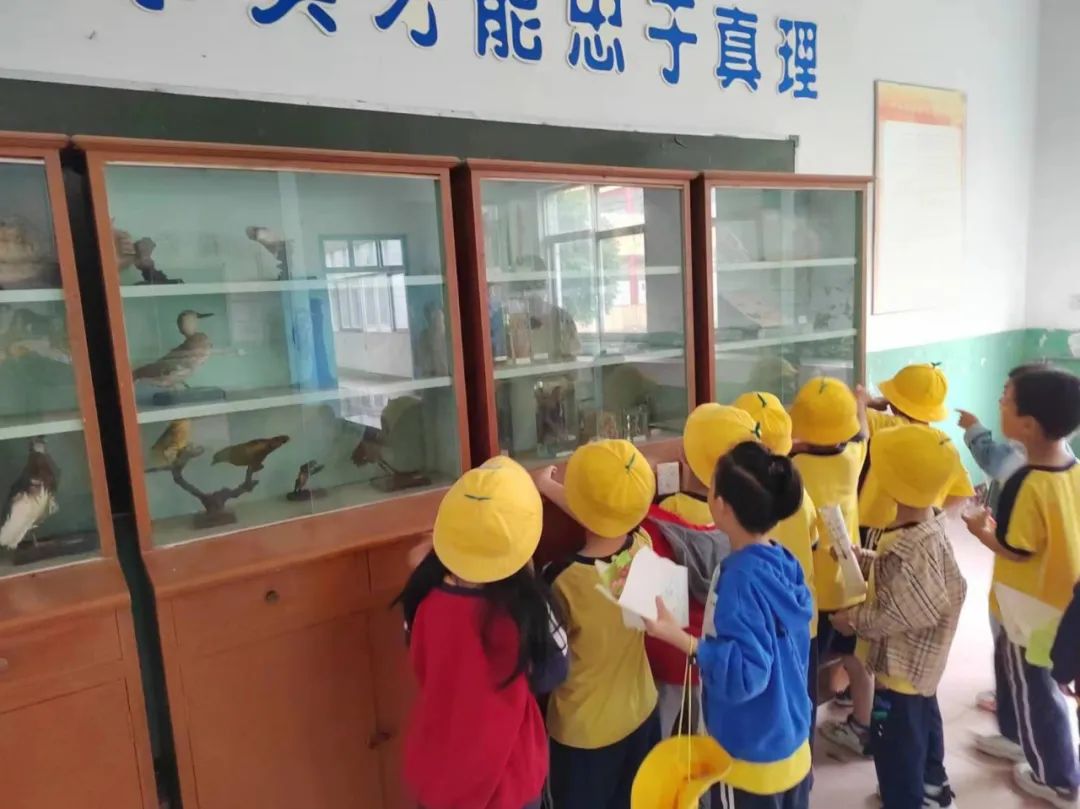 小手牵小手 欢乐小学游——宗村小学开展幼小衔接活动 第20张