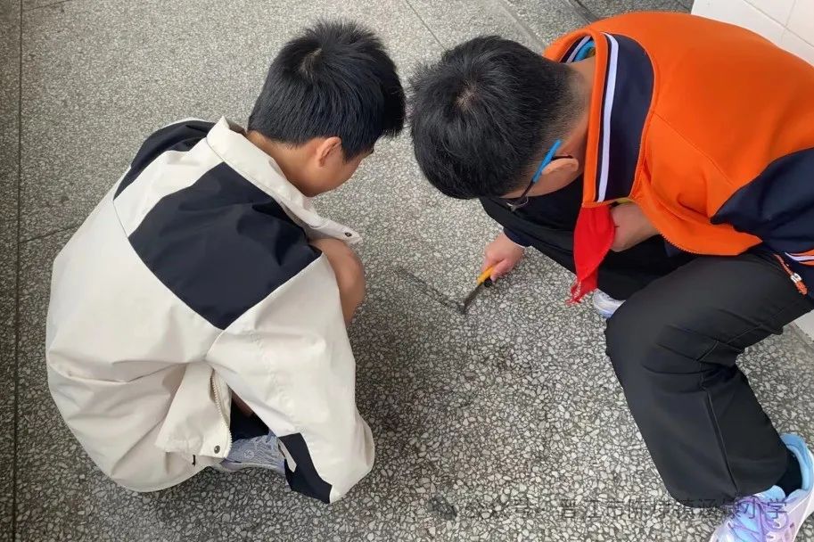 【日行一善 幸福一生】涵埭小学“日行一善 幸福一生”主题教育系列活动 第6张 【日行一善 幸福一生】涵埭小学“日行一善 幸福一生”主题教育系列活动 第6张
