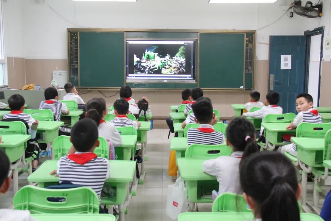 向阳而生 健康成长——芙蓉区东晖小学“525”心理健康月活动纪实 第3张 向阳而生 健康成长——芙蓉区东晖小学“525”心理健康月活动纪实 第3张