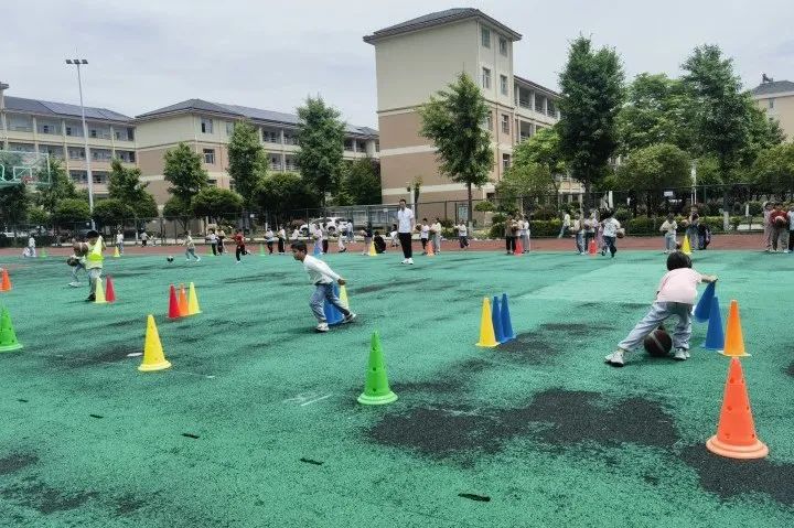 教科共研,智慧启航——海盐县滨海小学科研学术周活动 第14张 教科共研,智慧启航——海盐县滨海小学科研学术周活动 第14张