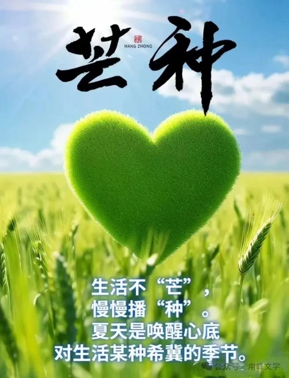 刘翔||芒种时节,高考之际 第3张