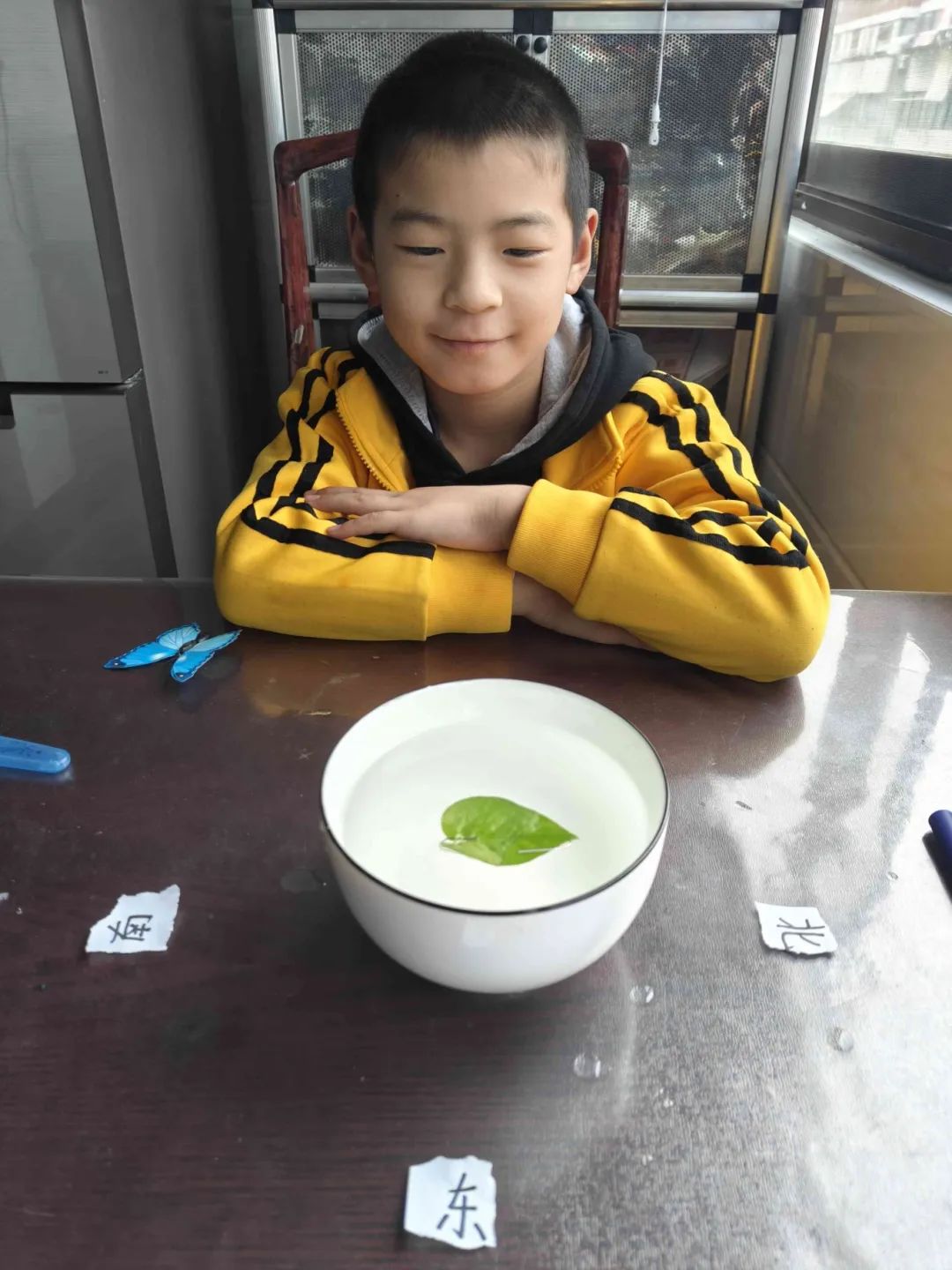 【数学实践】通源小学数学实践活动——东南西北辨方向 第8张