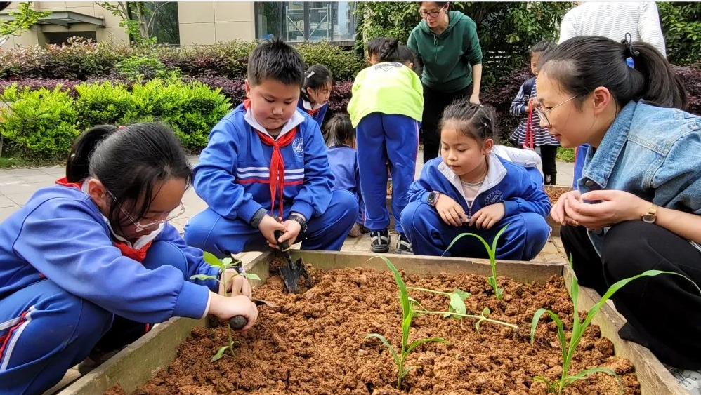 【魅力小学第1257期·教师招聘】砂子塘魅力小学2024年春季教师招聘公告 第19张 【魅力小学第1257期·教师招聘】砂子塘魅力小学2024年春季教师招聘公告 第19张