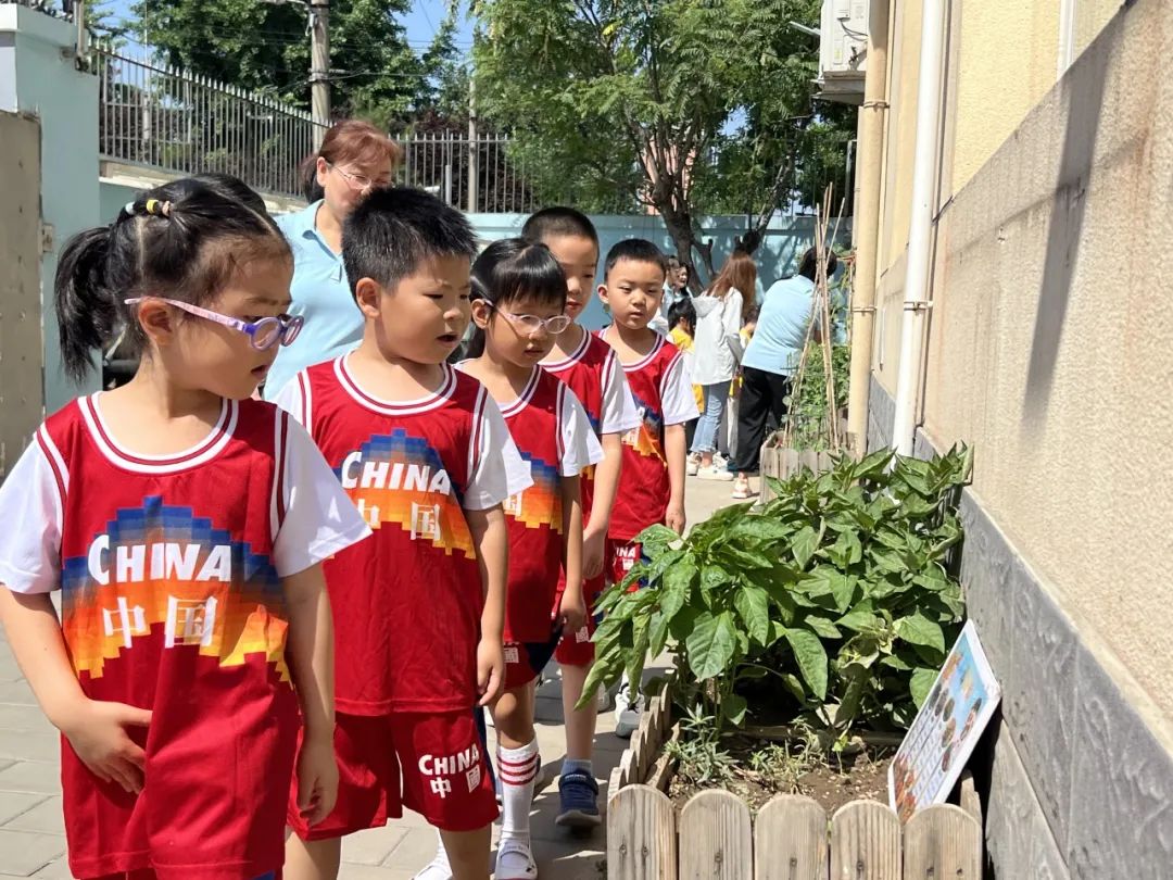 【幼小衔接 探秘小学】——北京中铁信达经贸有限公司幼儿园大班幼儿参观椿树馆小学活动 第15张 【幼小衔接 探秘小学】——北京中铁信达经贸有限公司幼儿园大班幼儿参观椿树馆小学活动 第15张