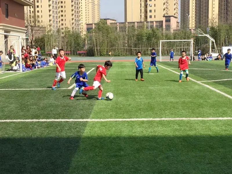 【魅力小学第1257期·教师招聘】砂子塘魅力小学2024年春季教师招聘公告 第15张 【魅力小学第1257期·教师招聘】砂子塘魅力小学2024年春季教师招聘公告 第15张