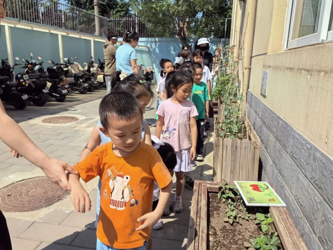 【幼小衔接 探秘小学】——北京中铁信达经贸有限公司幼儿园大班幼儿参观椿树馆小学活动 第14张 【幼小衔接 探秘小学】——北京中铁信达经贸有限公司幼儿园大班幼儿参观椿树馆小学活动 第14张
